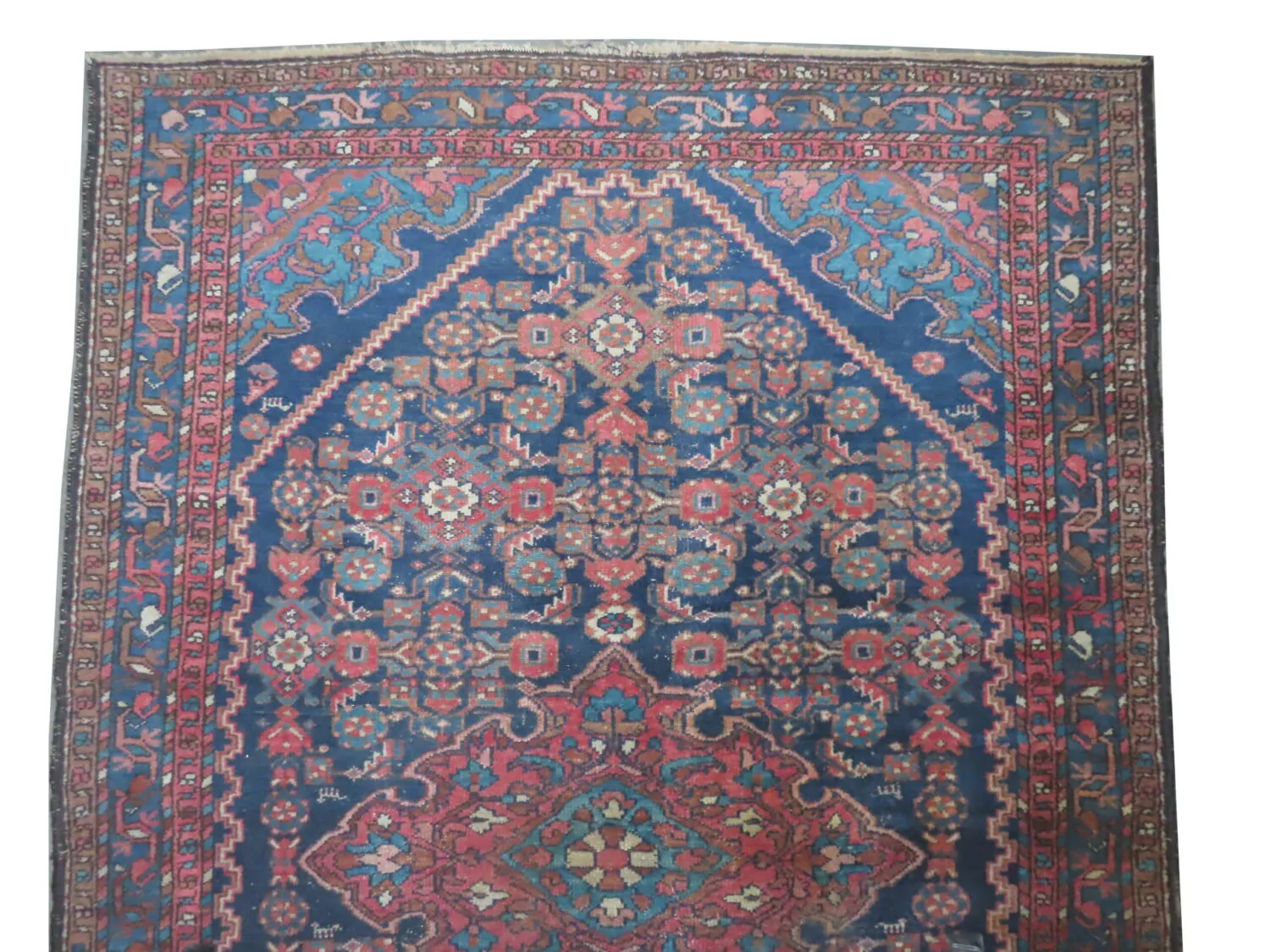 Enjilaz Persian - Image 3