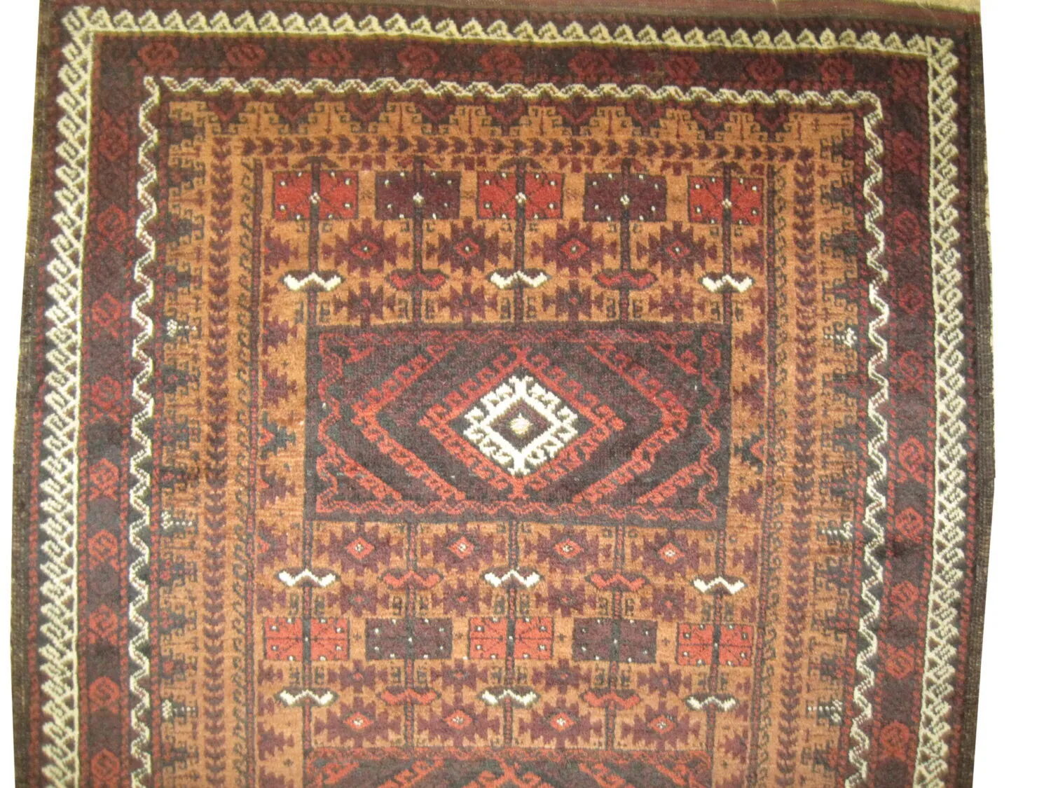 Belutsch Persian - Image 2