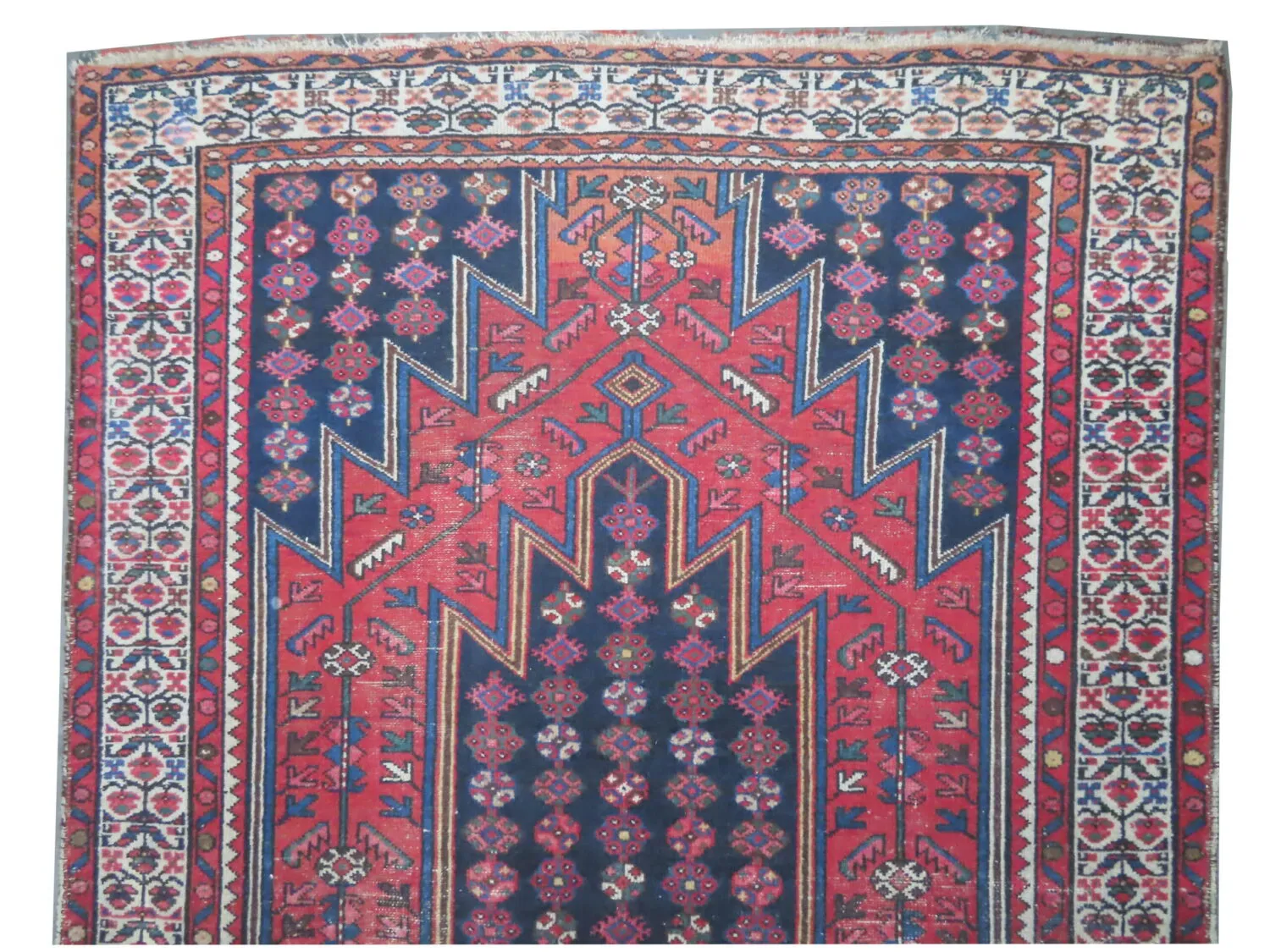 Noubaran Persian - Image 3