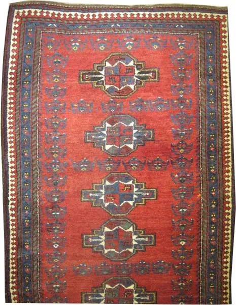 Louri Persian - Image 2