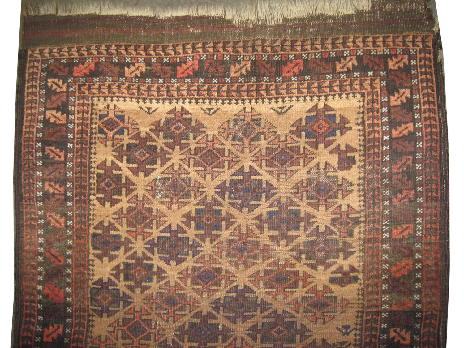 Belutsch Persian - Image 2