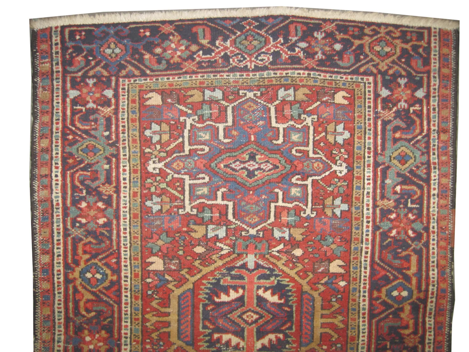 Karadja Persian - Image 2