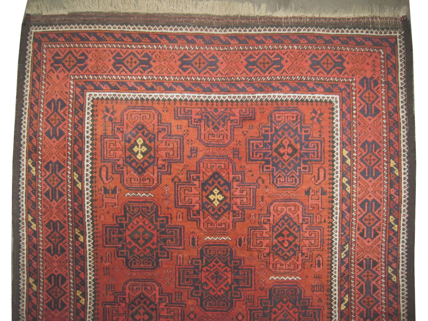 Belutsch Persian - Image 2