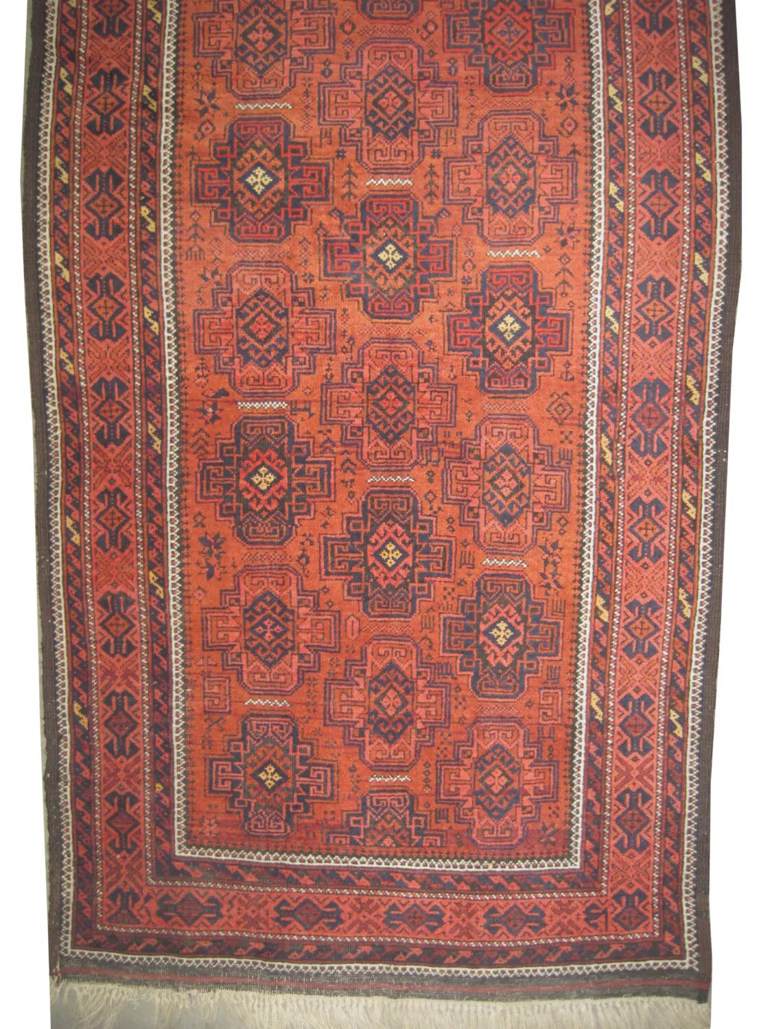 Belutsch Persian - Image 3