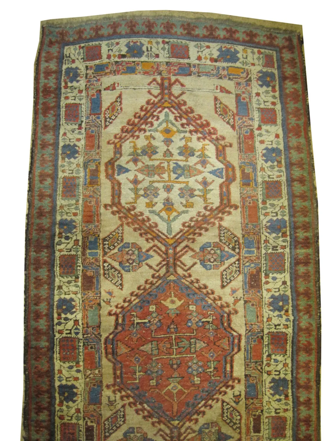Sarab Persian - Image 2