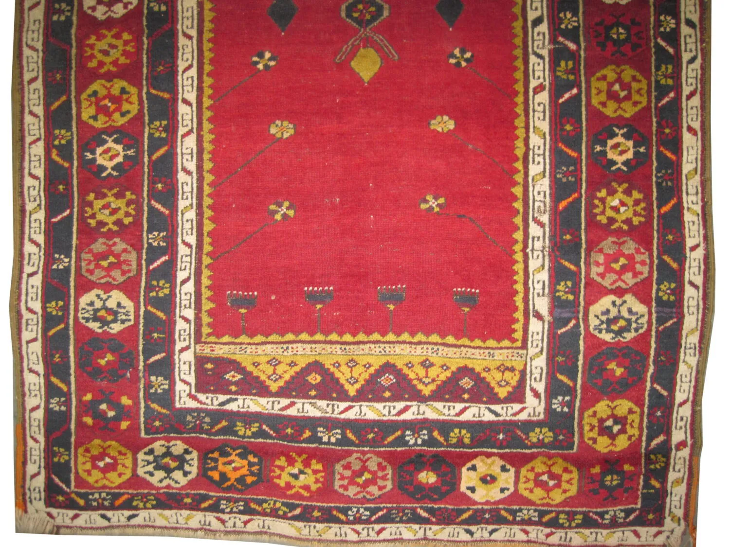 Dashpinar Turkish - Image 2