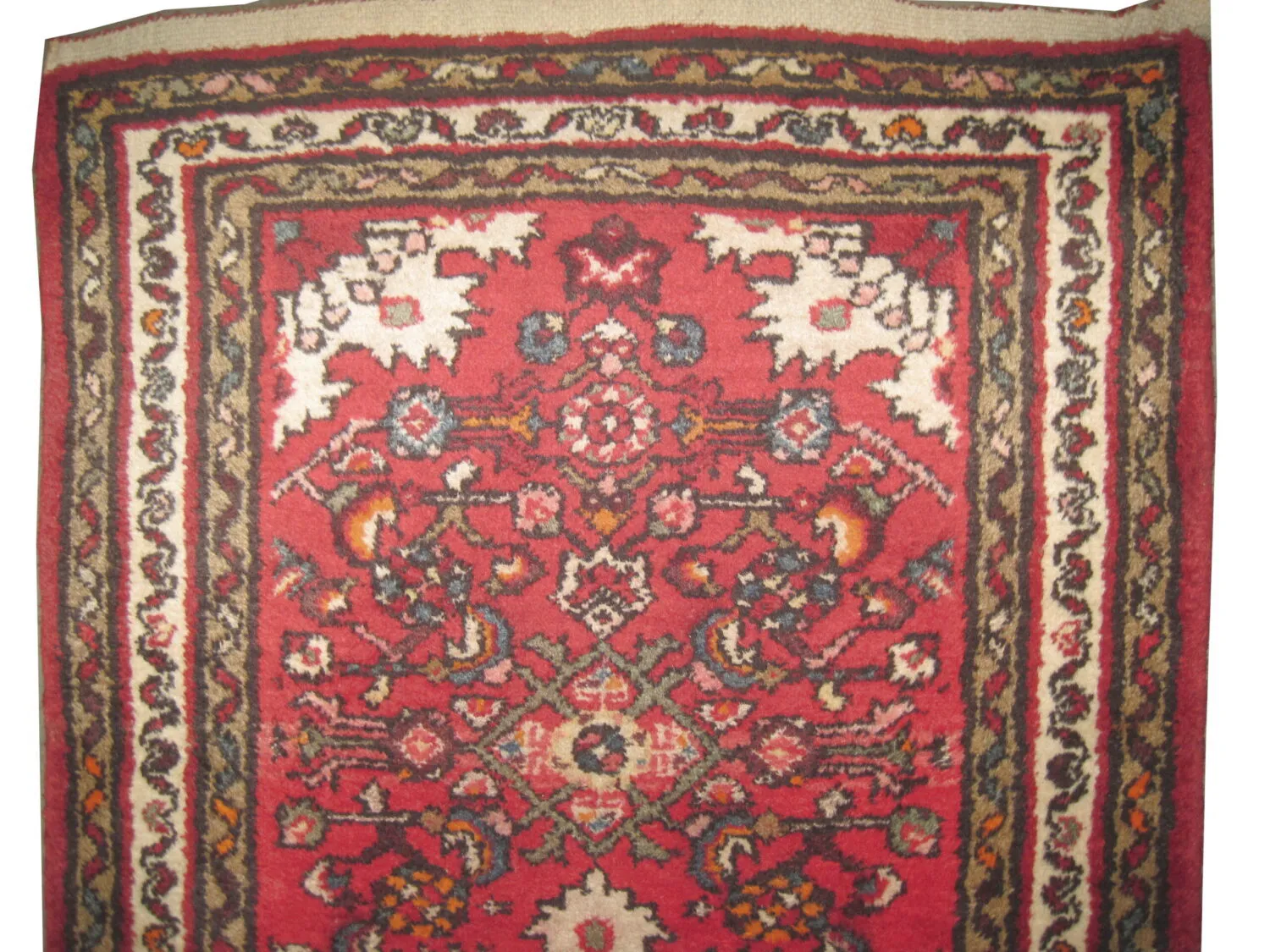 Lilihan Persian - Image 2