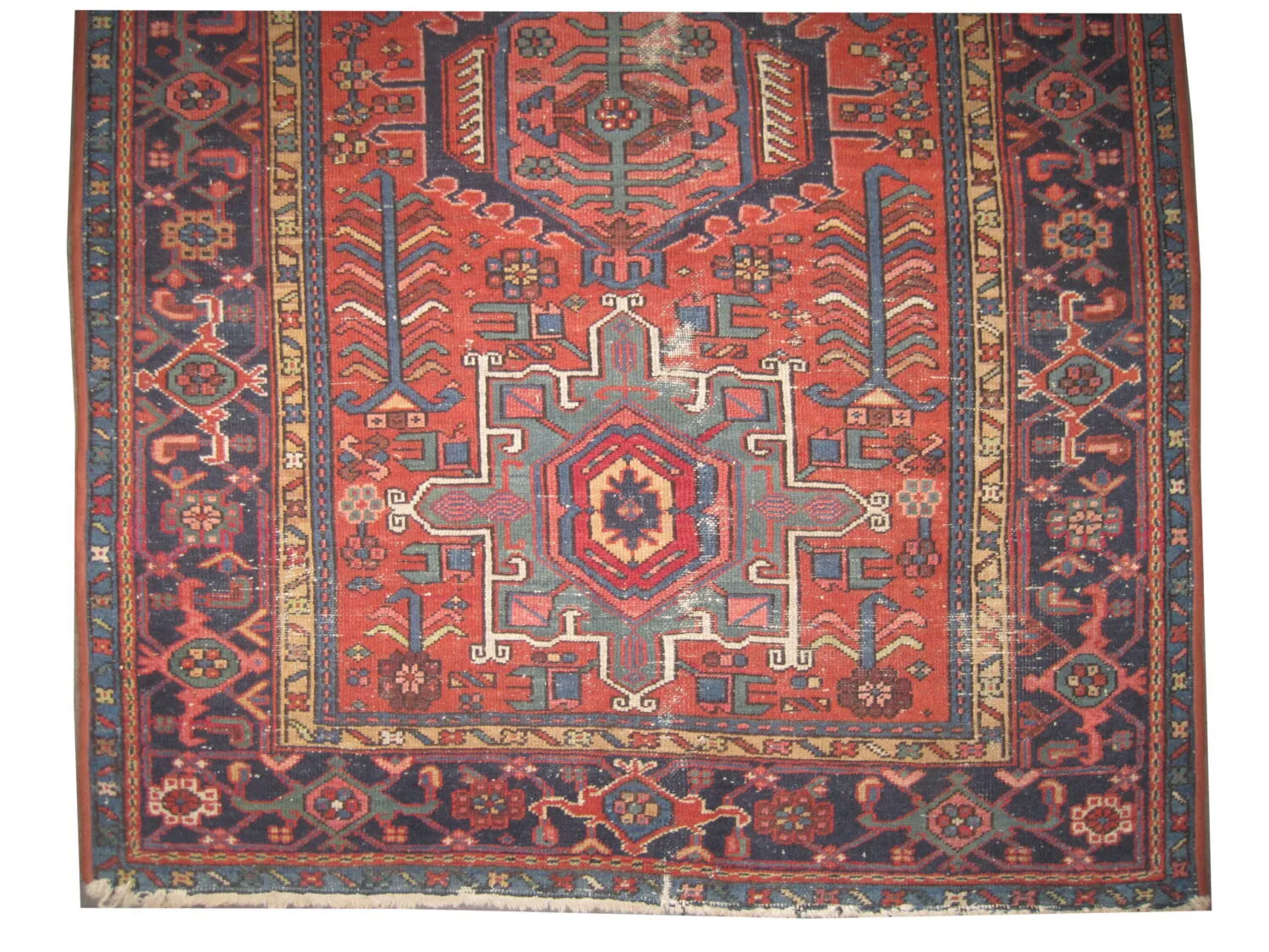 Karadja Persian - Image 2
