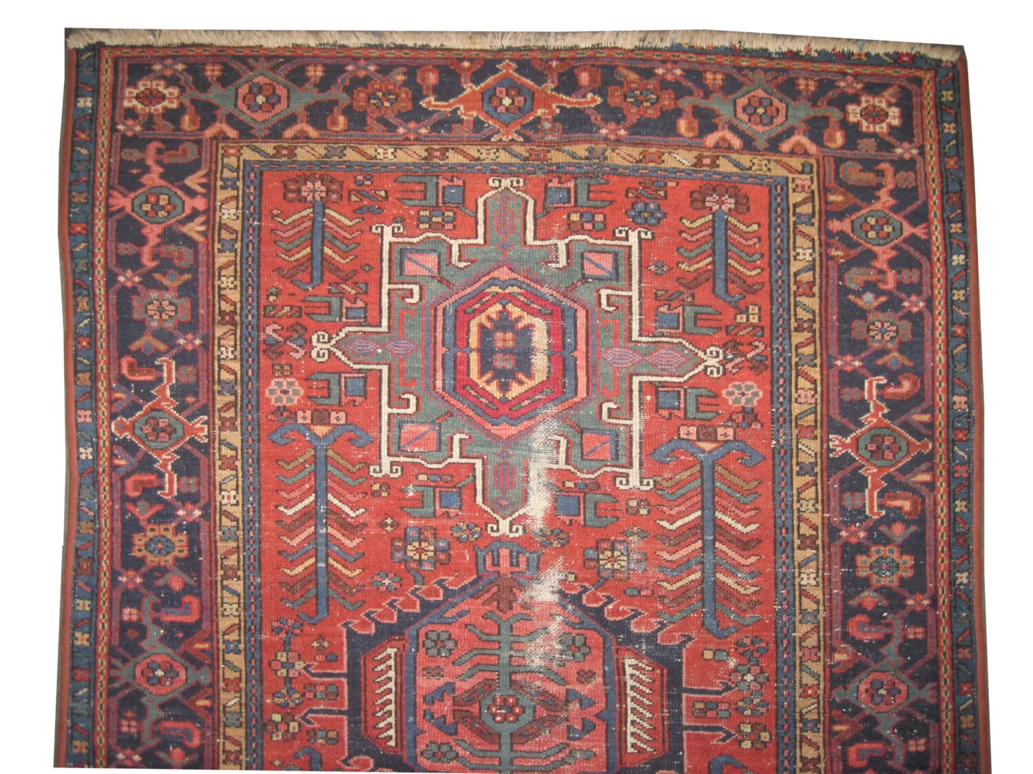 Karadja Persian - Image 3