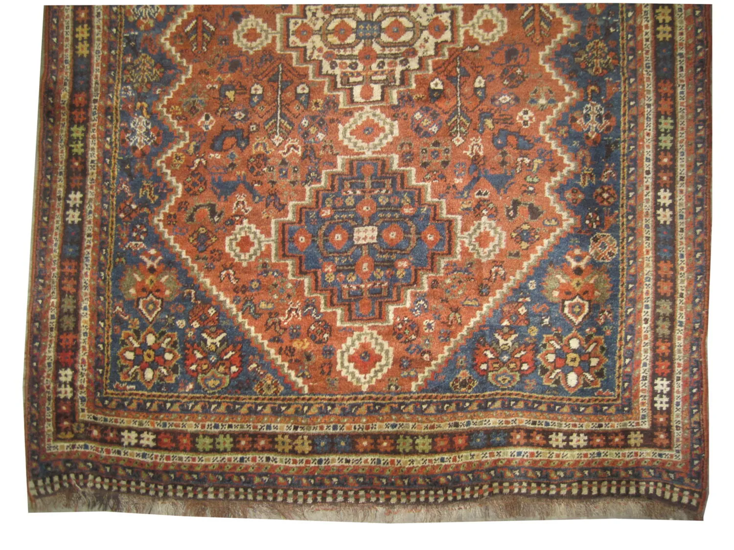 Shiraz Persian - Image 3