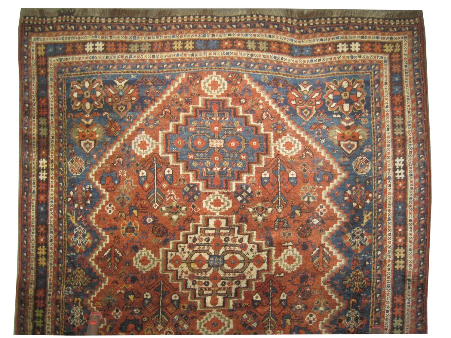 Shiraz Persian - Image 2