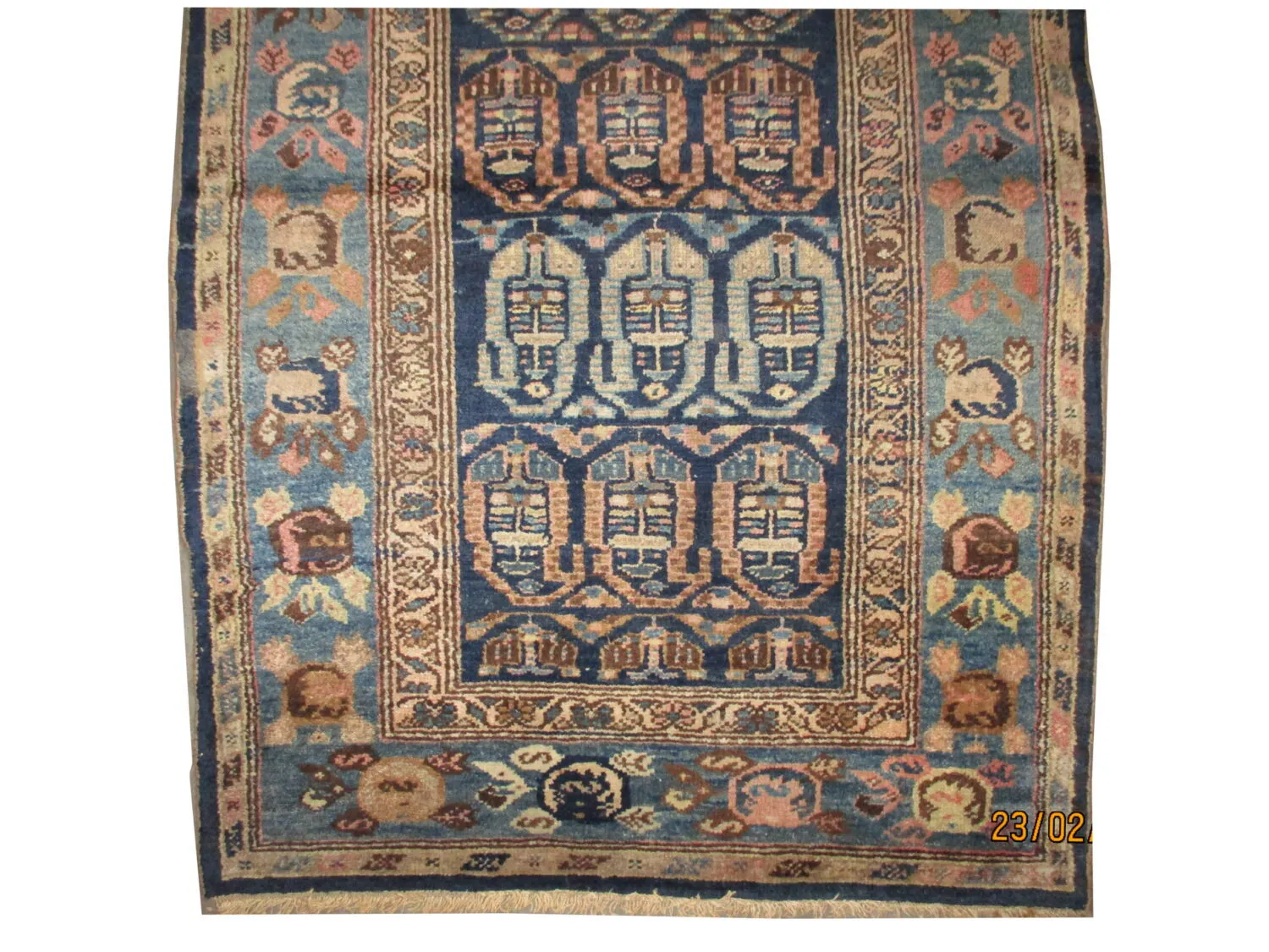 Malaier Persian - Image 2