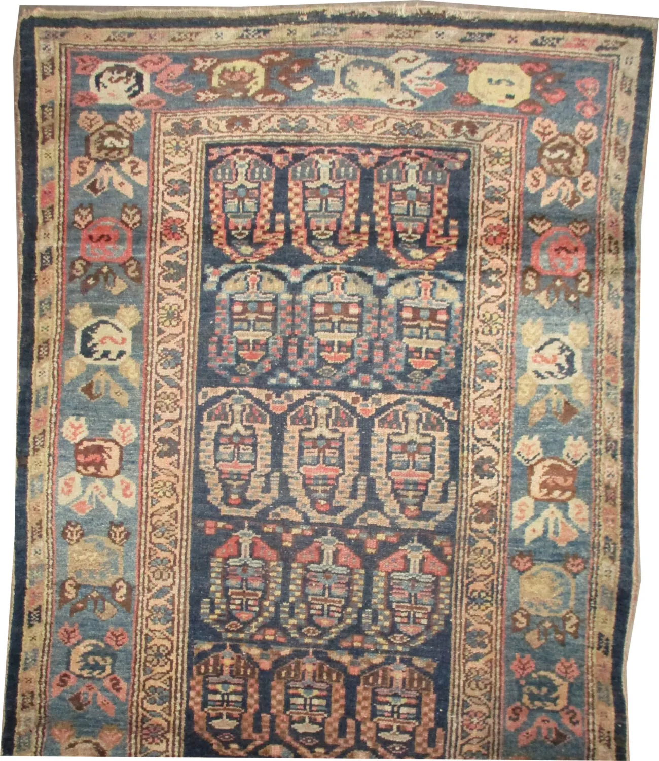Malaier Persian - Image 3