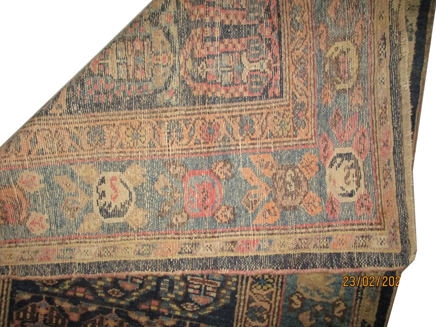 Malaier Persian - Image 4