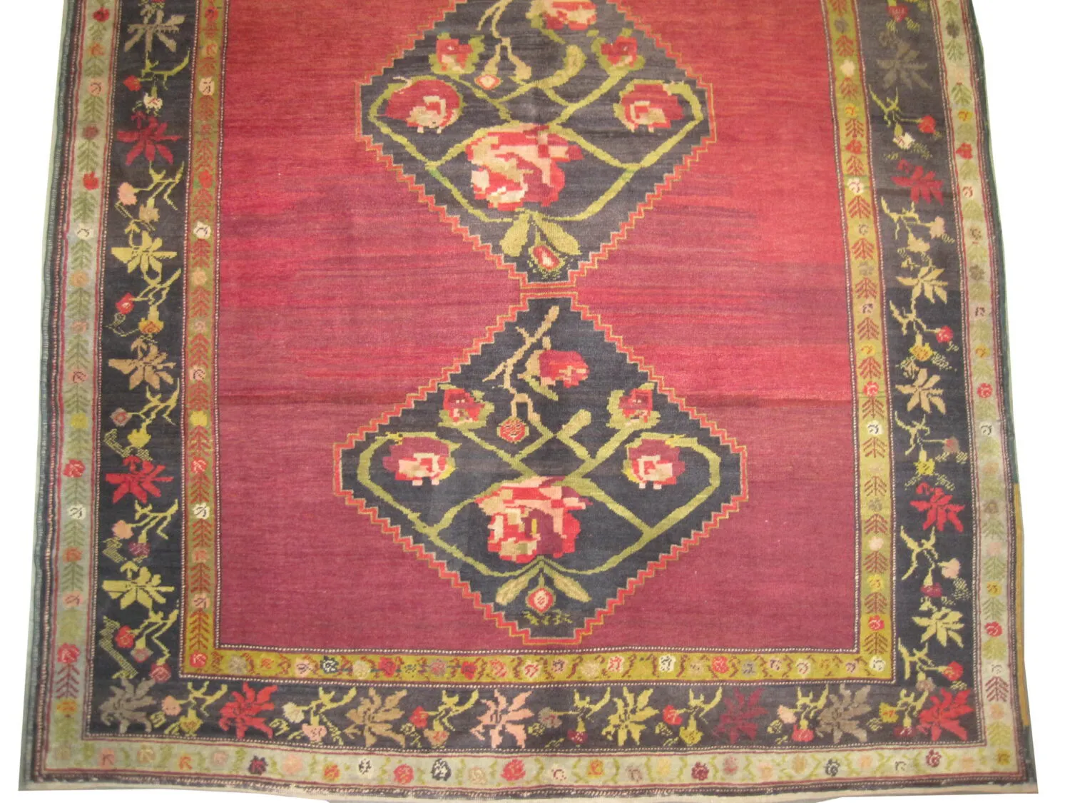 Shusha Caucasian - Image 3