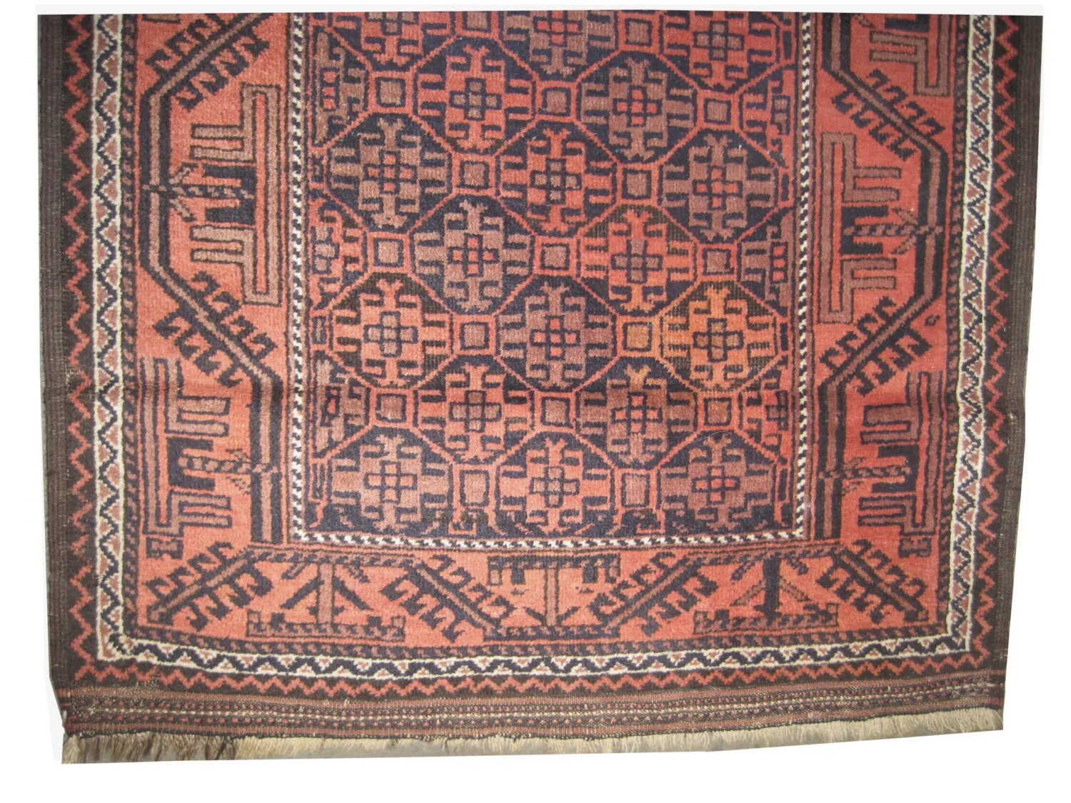 Belutsch Persian - Image 3