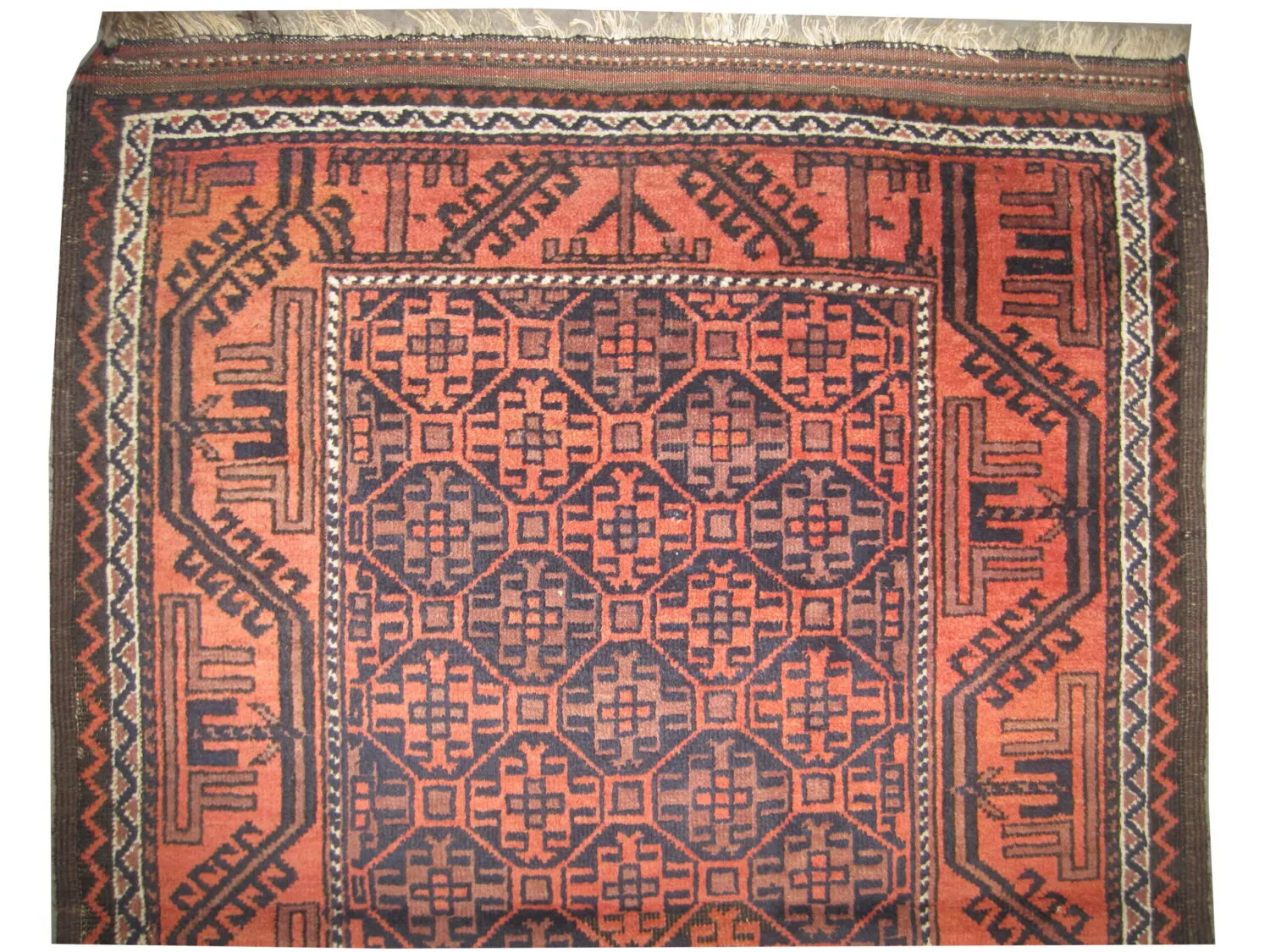 Belutsch Persian - Image 2