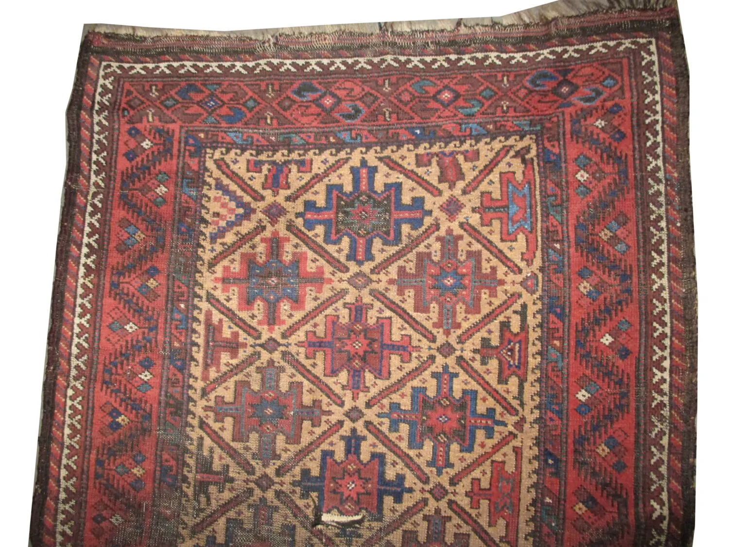Belutsch Persian - Image 2