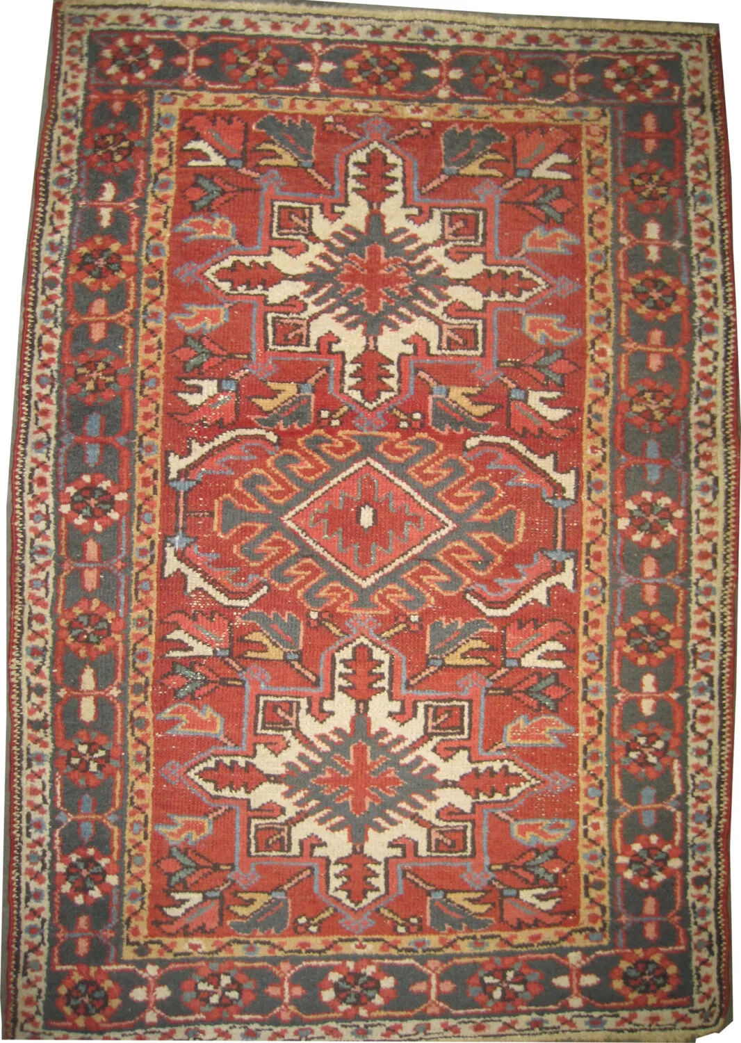 Karadja Persian - Image 3