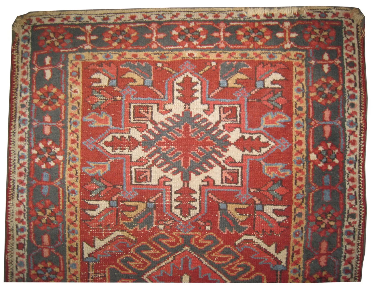Karadja Persian - Image 2