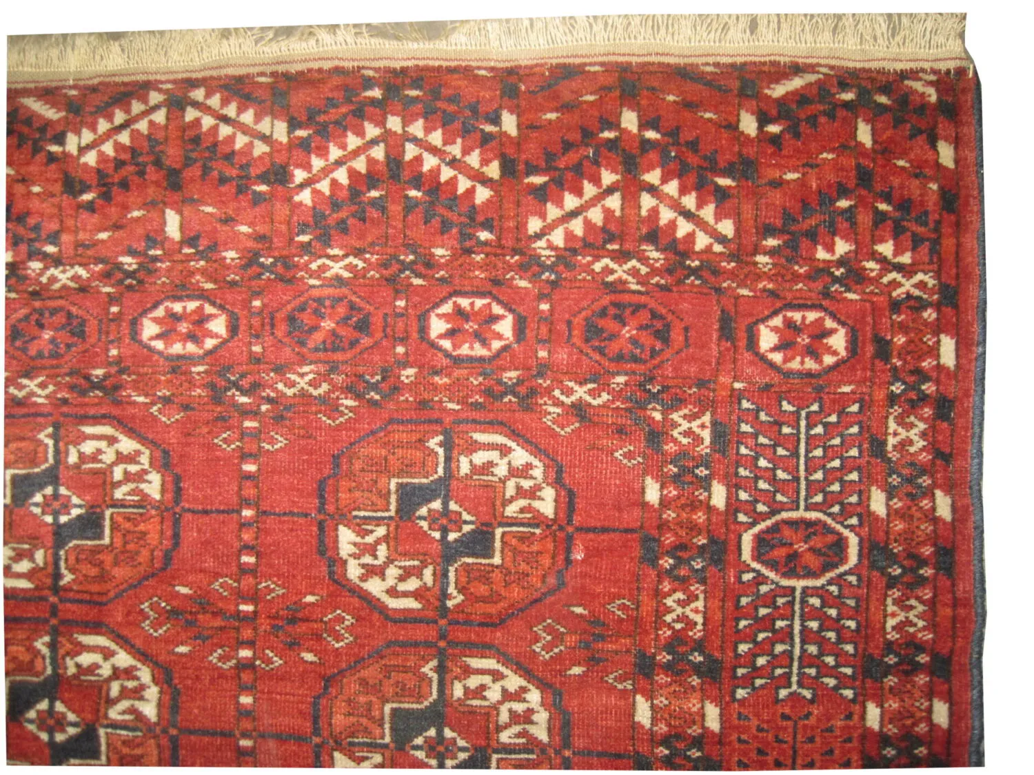 Tekke Turkmen - Image 3
