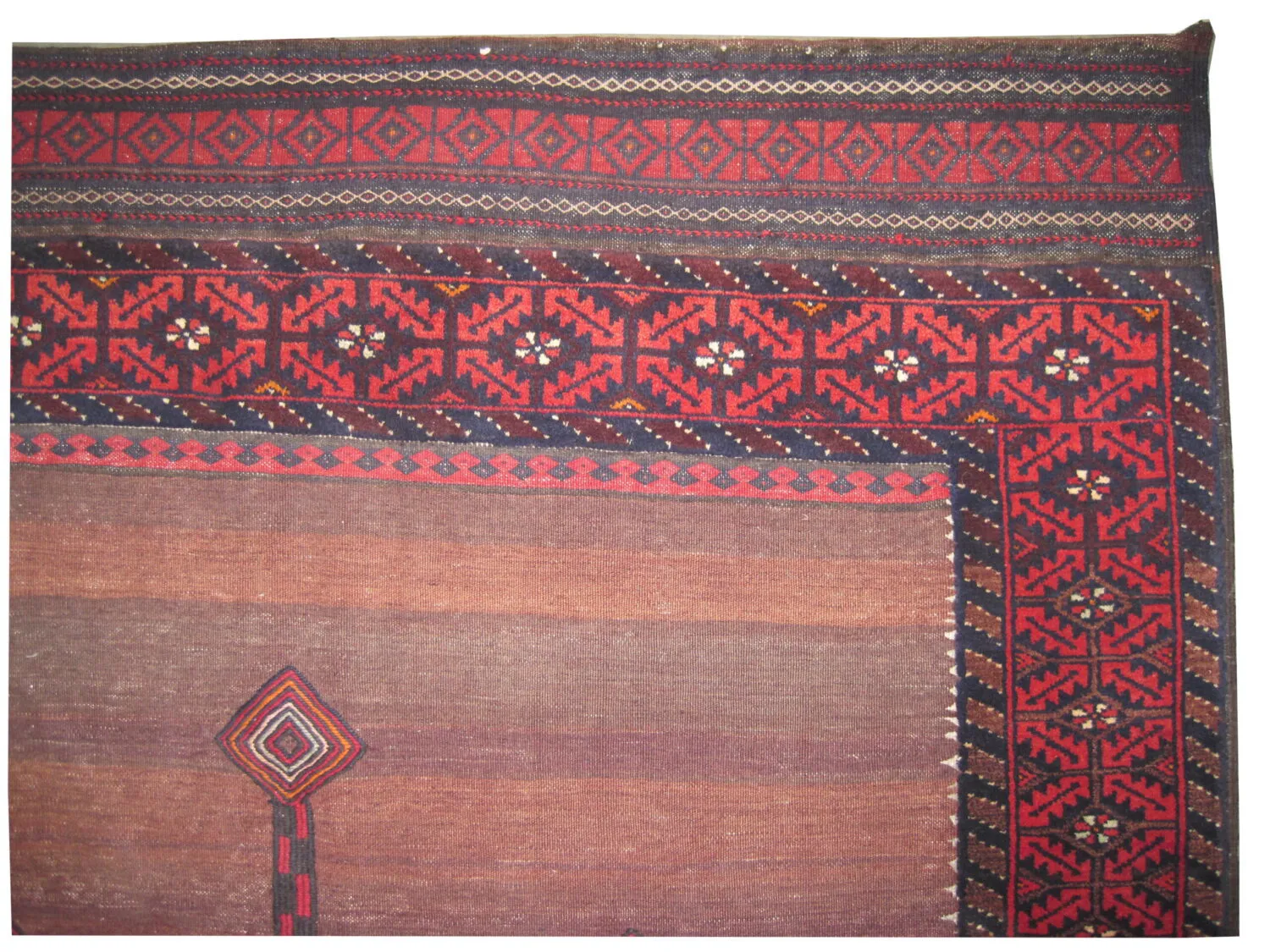 Belutsch Persian - Image 2