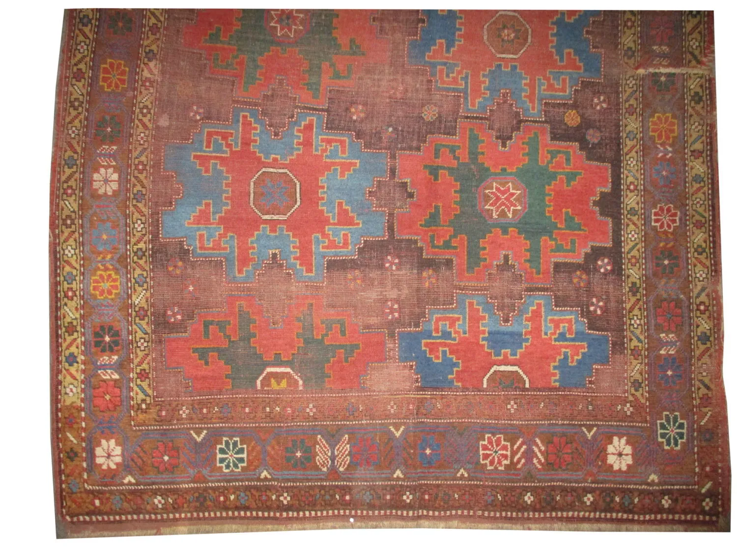Star Kazak Caucasian - Image 4