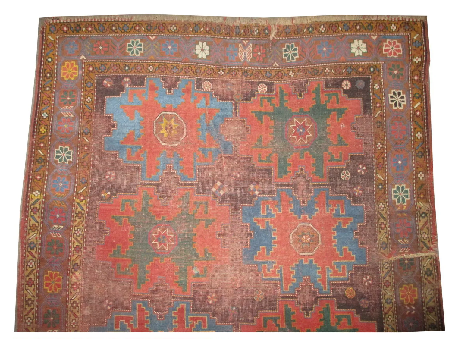 Star Kazak Caucasian - Image 2