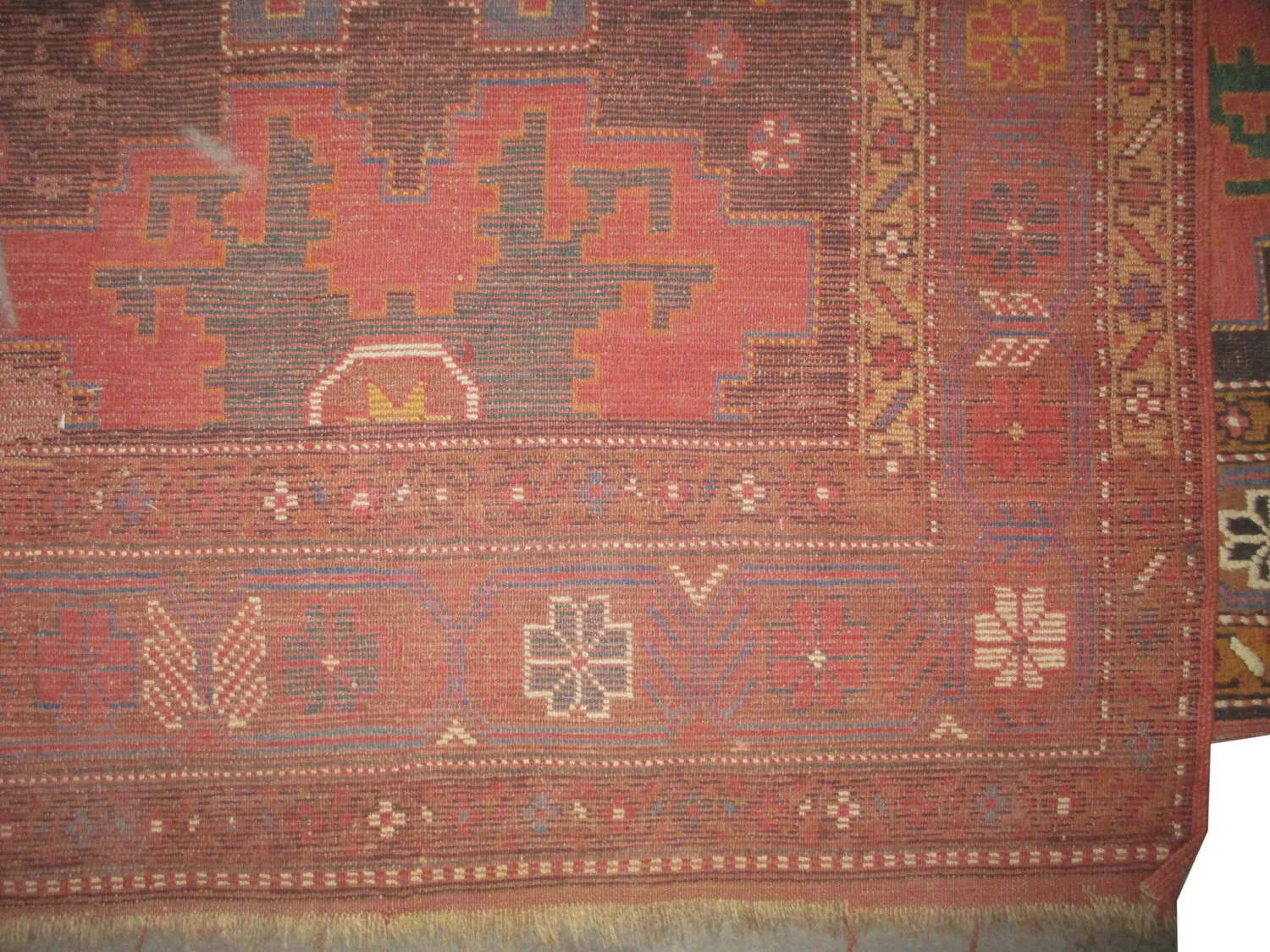 Star Kazak Caucasian - Image 3