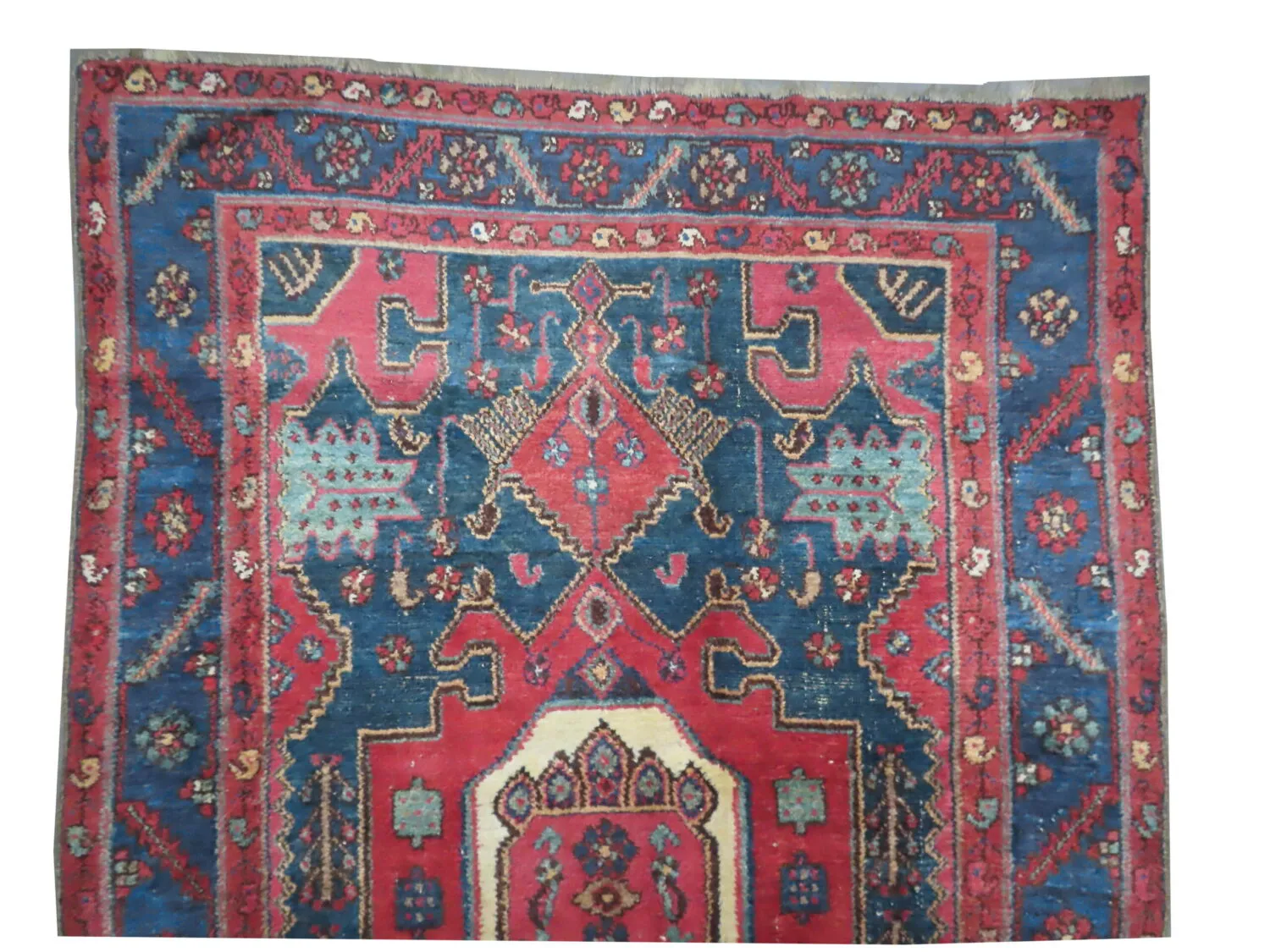 Kalardash Persian - Image 2