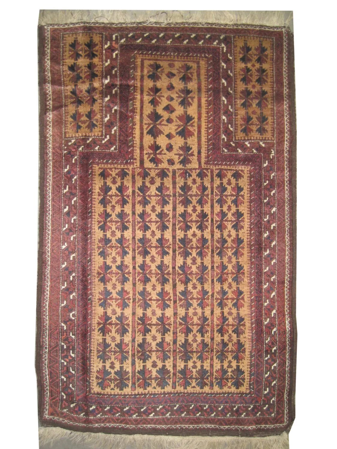 Belutsch Persian