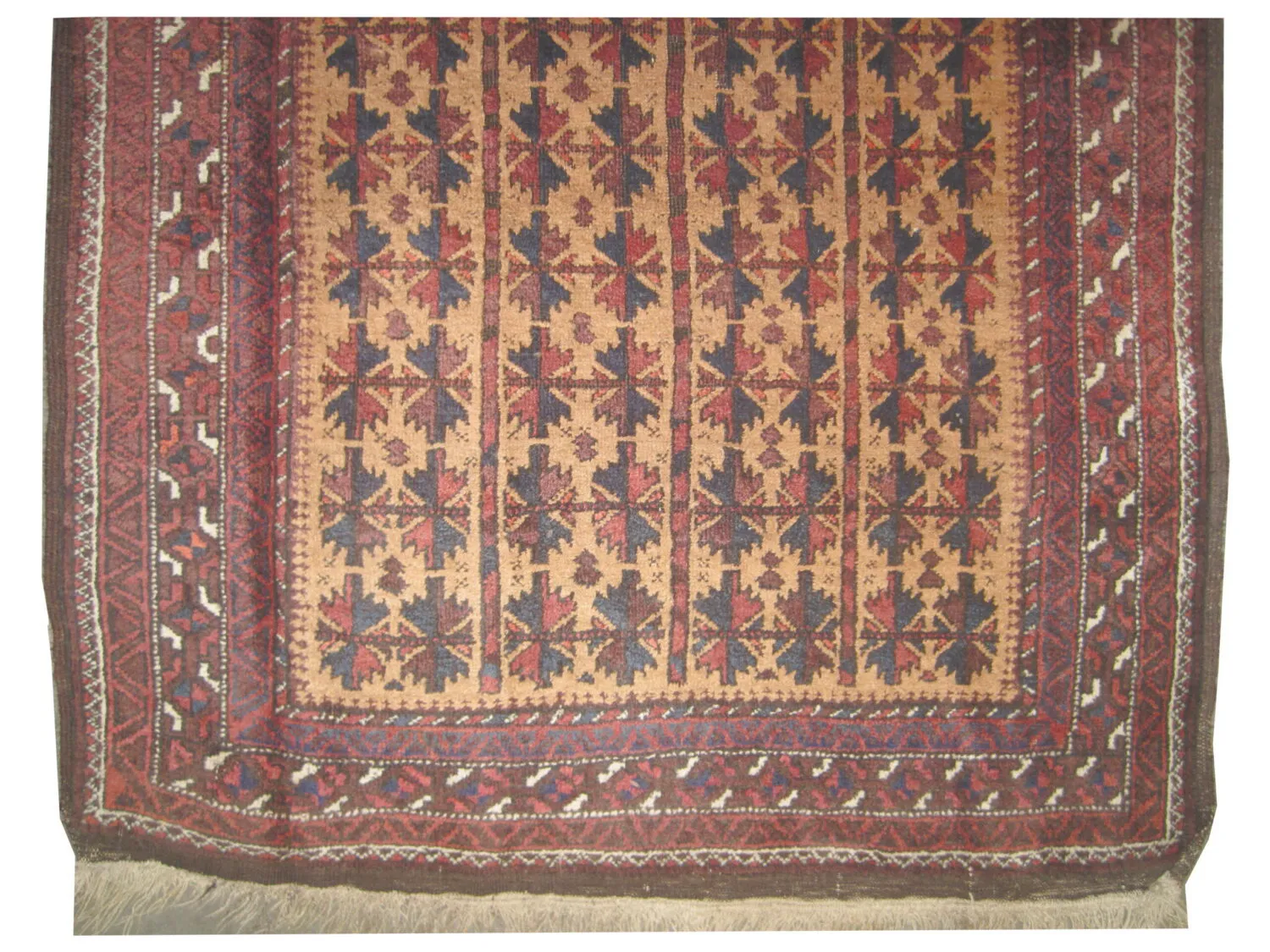Belutsch Persian - Image 3
