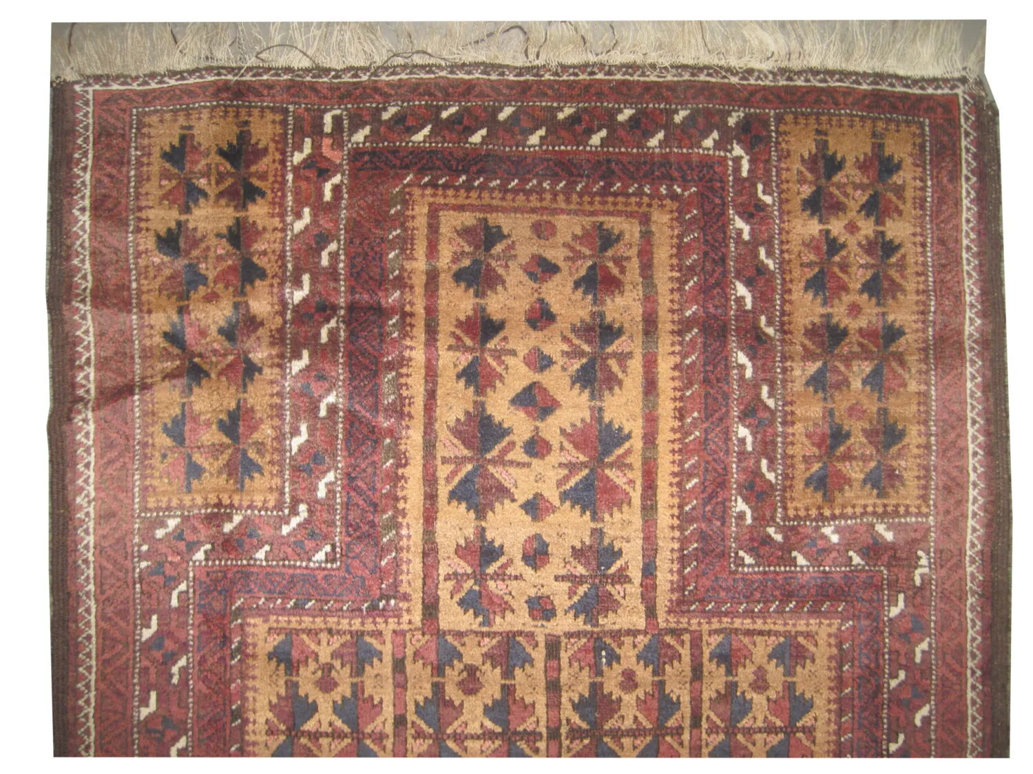Belutsch Persian - Image 2
