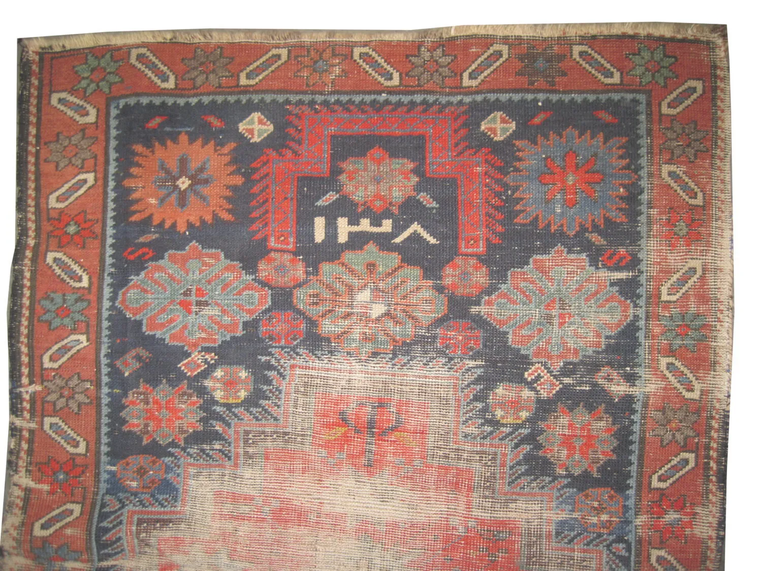 Chajli Caucasian - Image 2