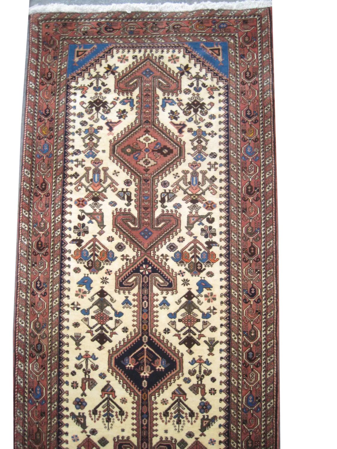 Nasrabad Persian - Image 3