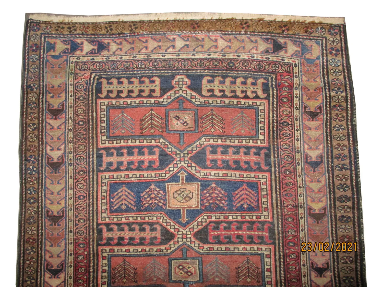 Noubaran Persian - Image 3