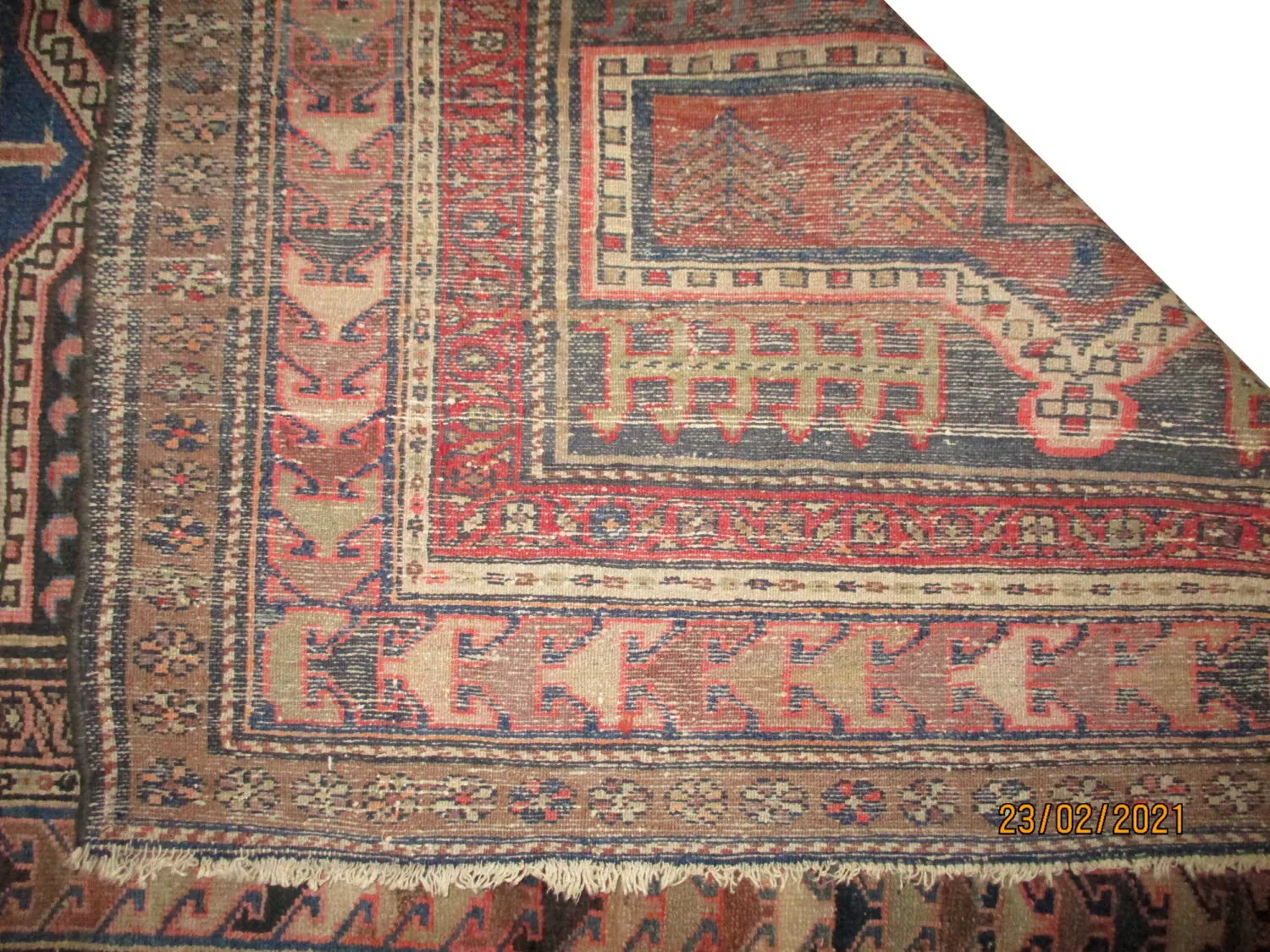 Noubaran Persian - Image 4