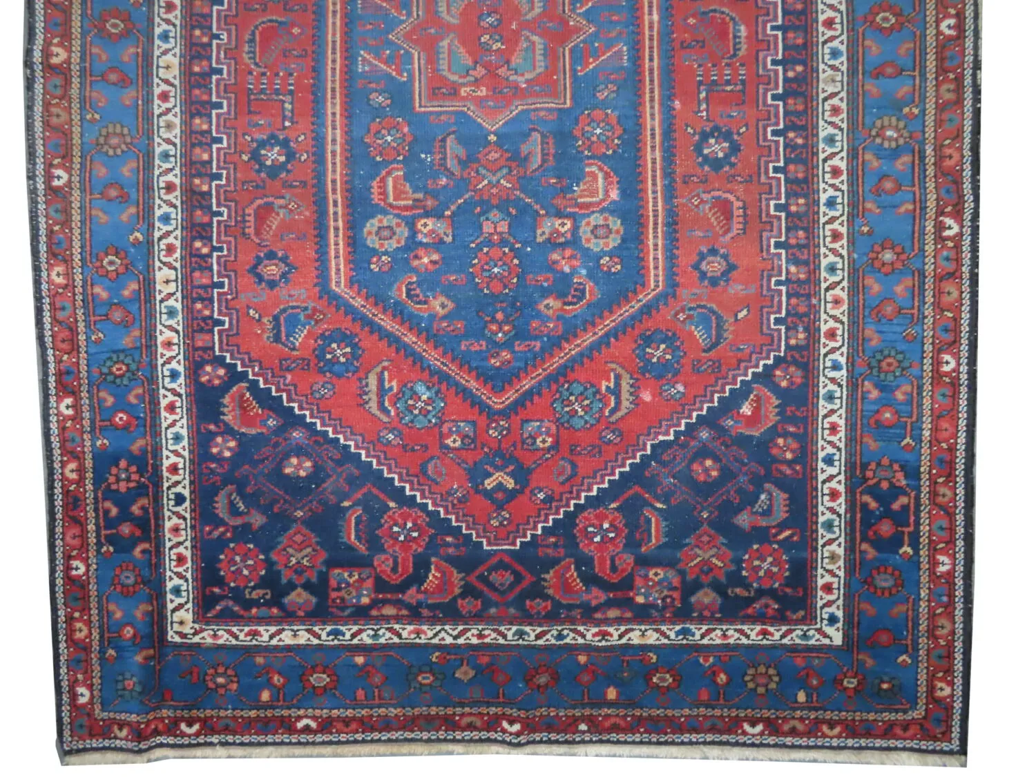 Mazagan Persian - Image 2