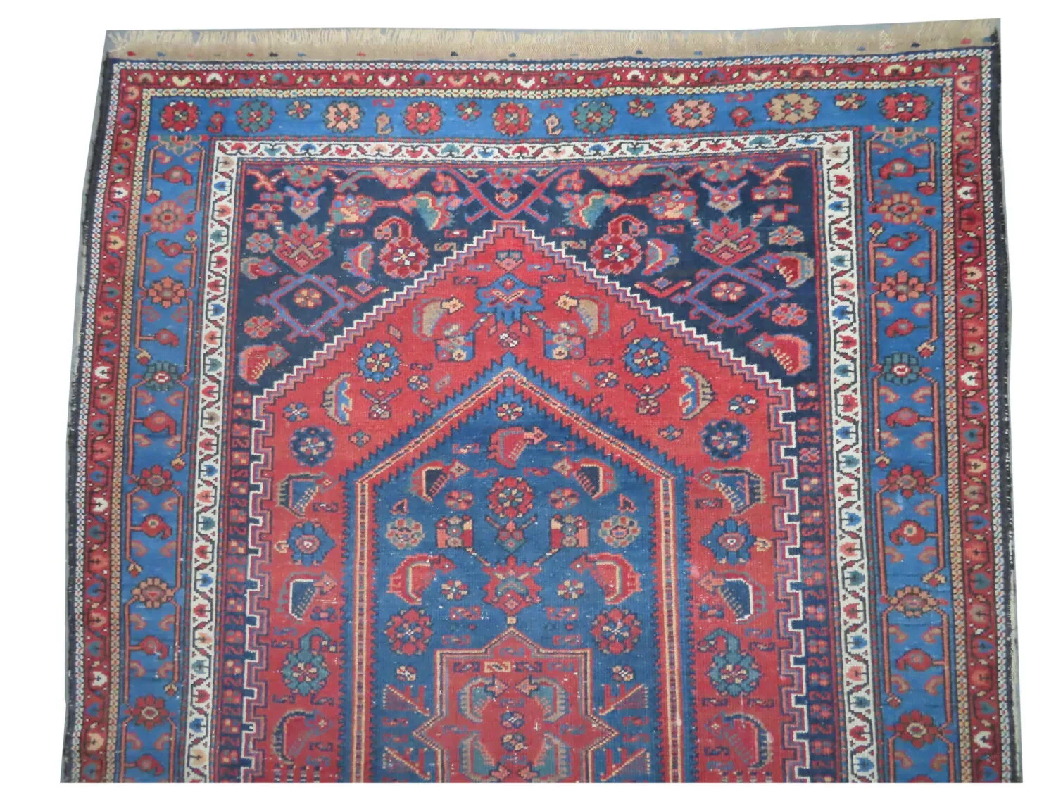 Mazagan Persian - Image 3