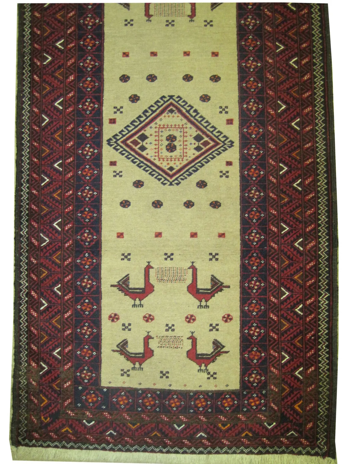 Belutsch Persian - Image 2