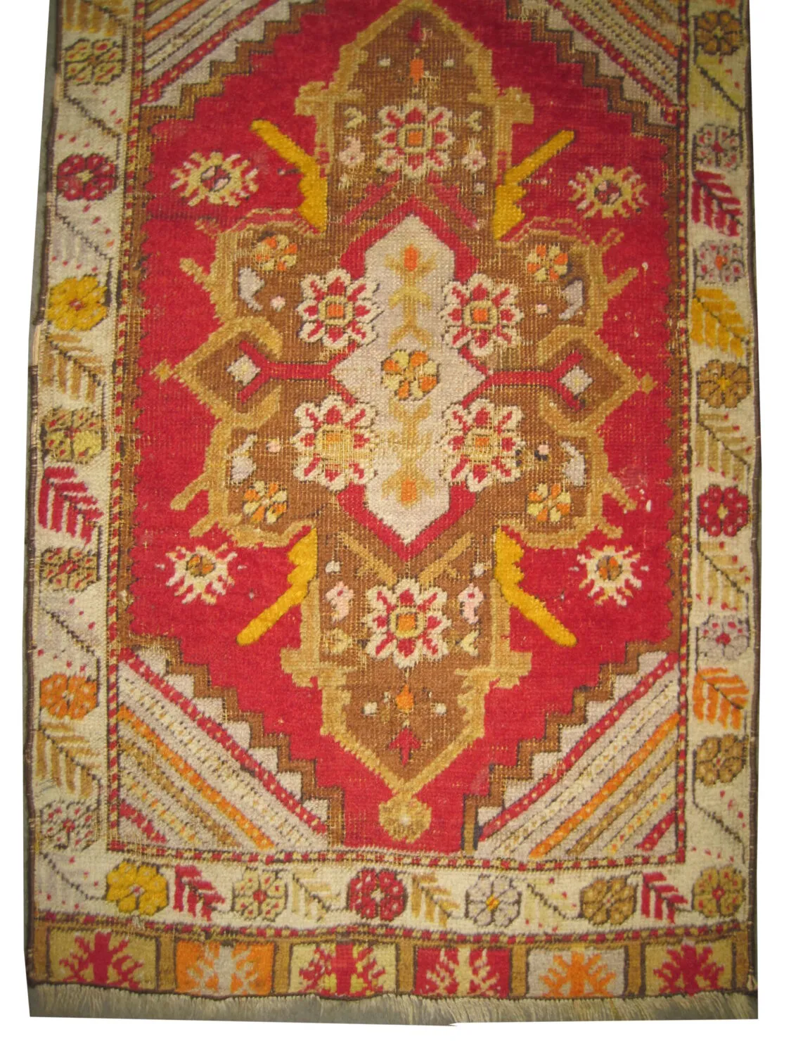 Avanoz Turkish - Image 2