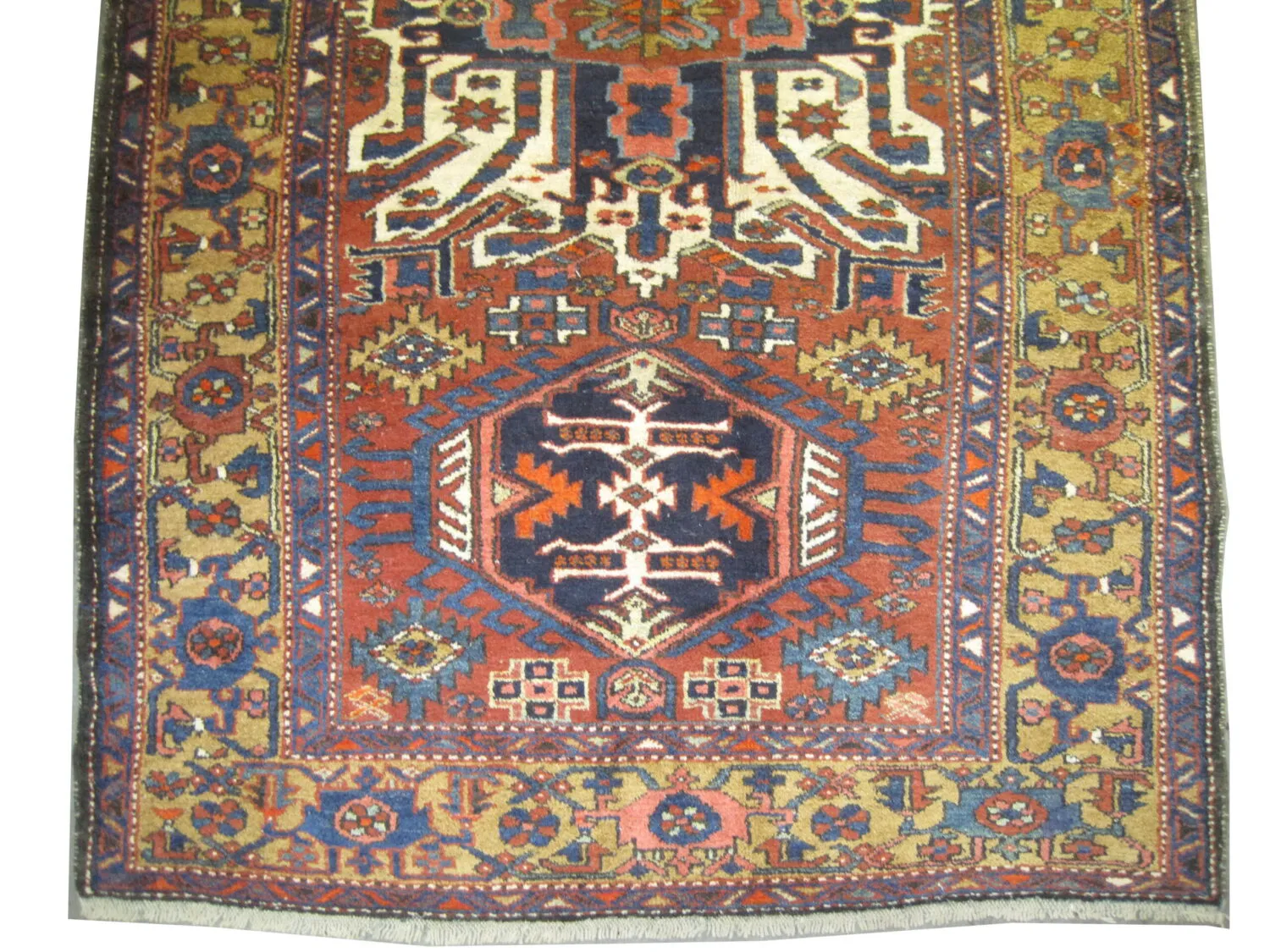 Karadja Persian - Image 3