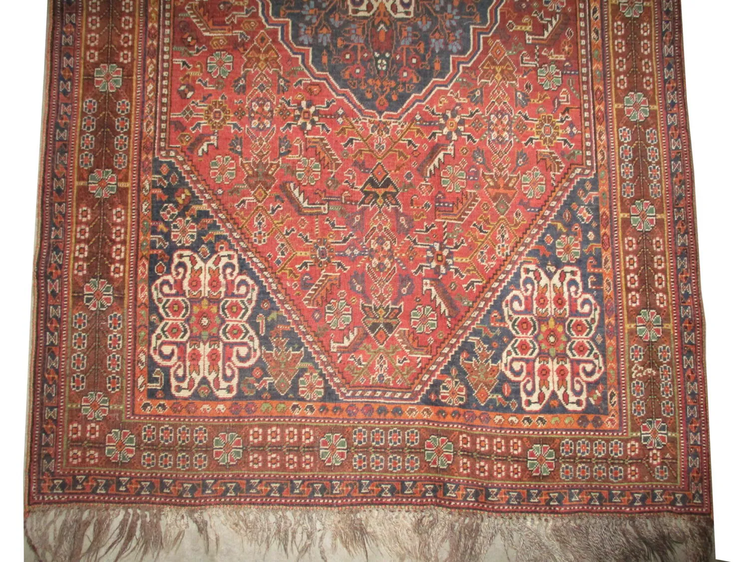 Qashqai Persian - Image 3