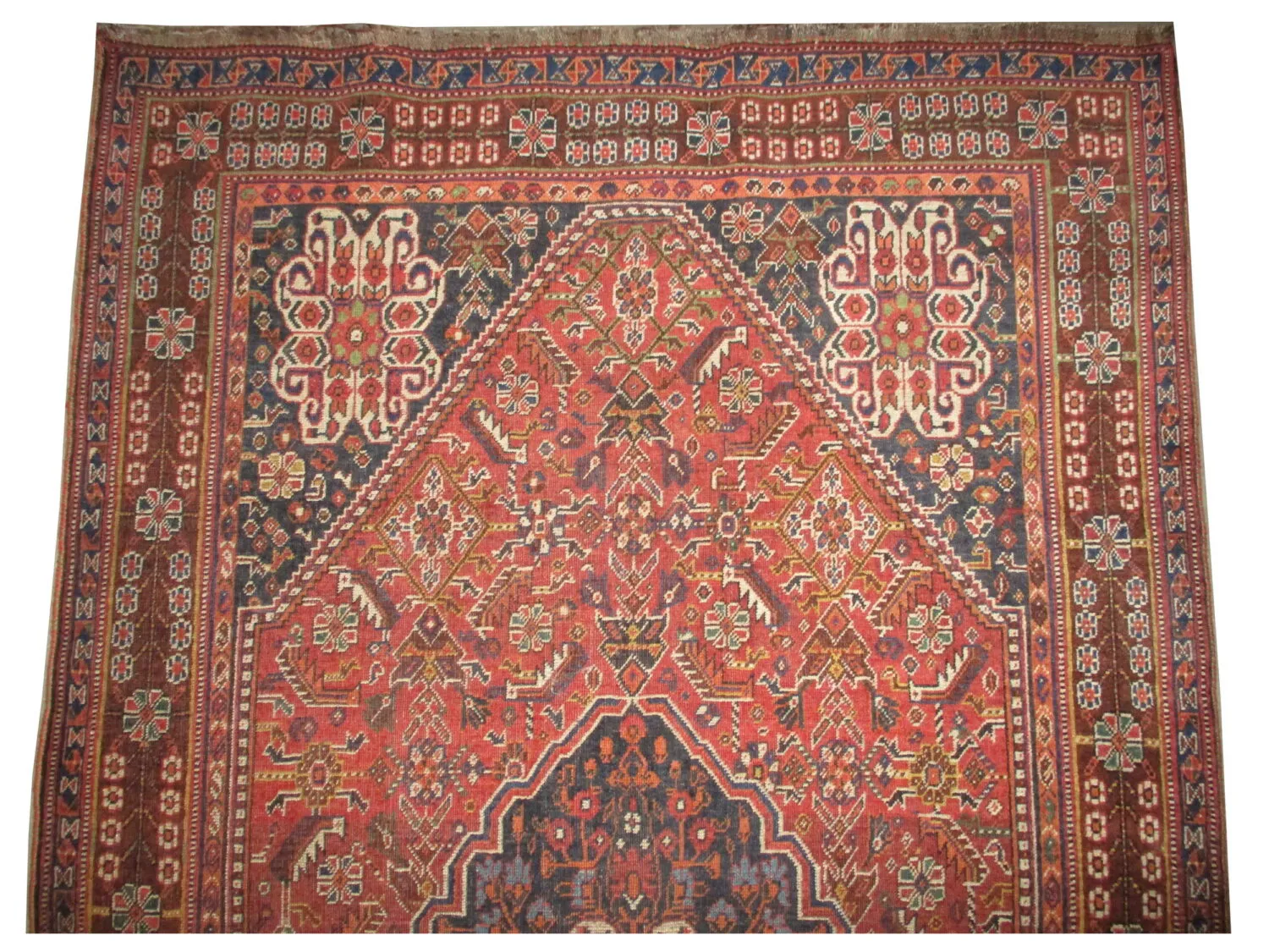 Qashqai Persian - Image 2