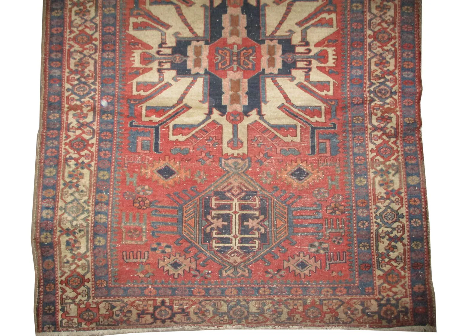 Karadja Persian - Image 2