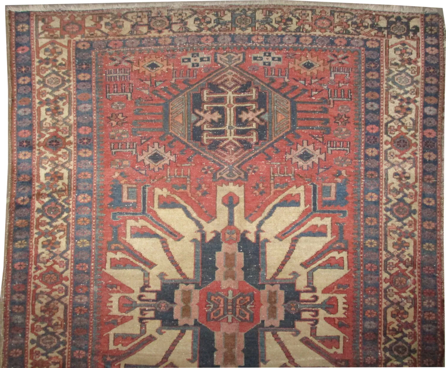 Karadja Persian - Image 3