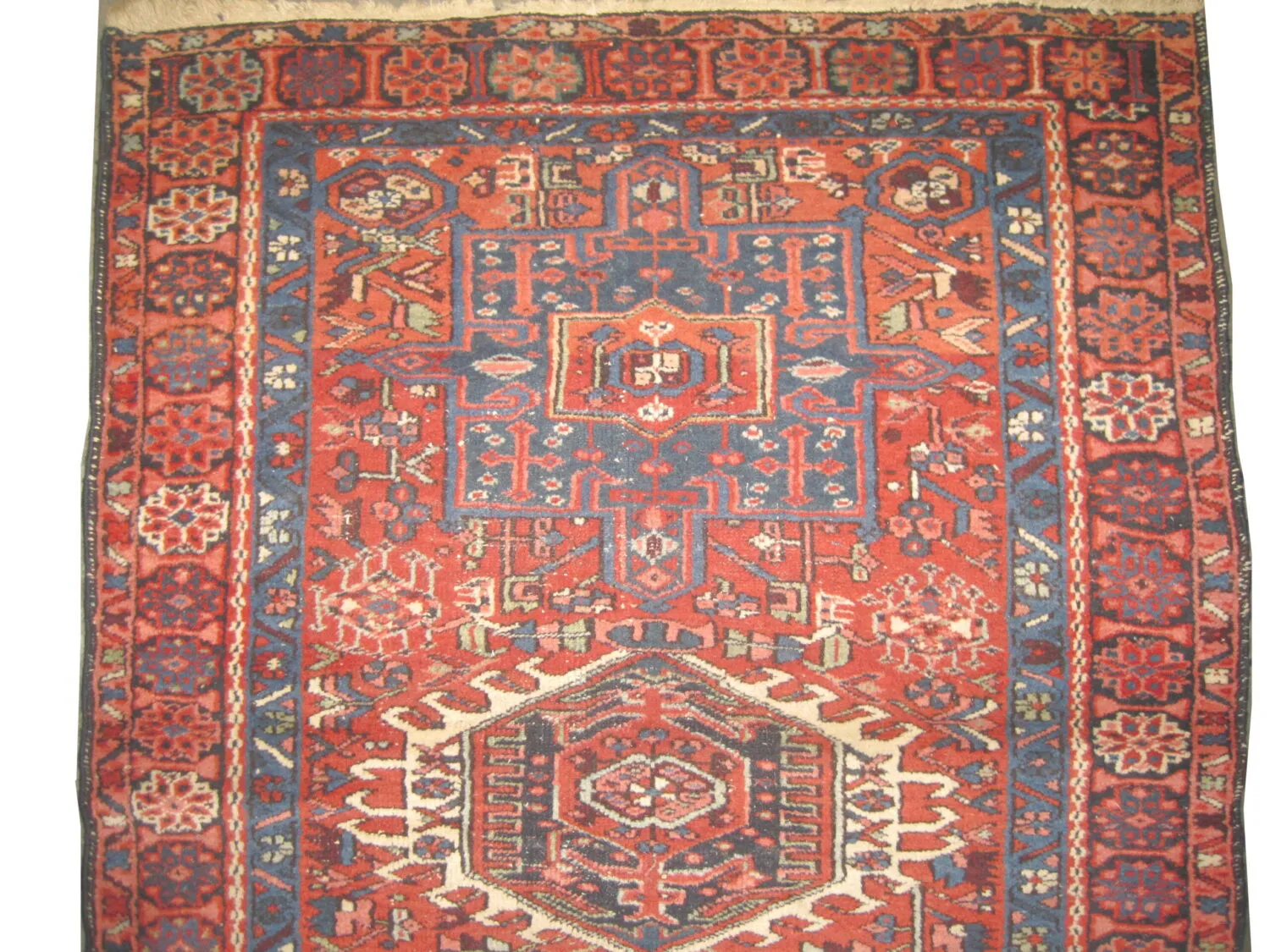 Karadja Persian - Image 2