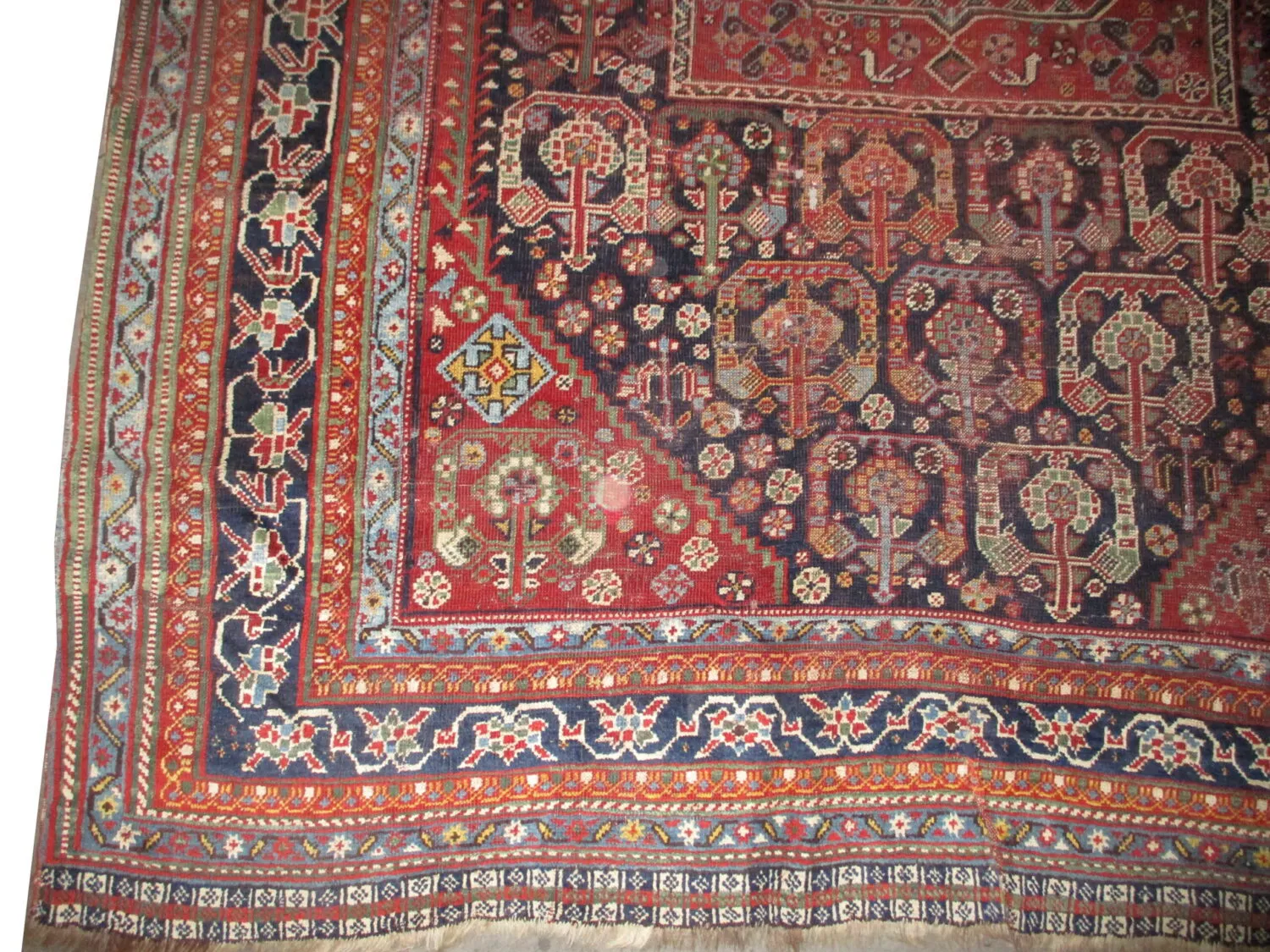 Qashqai Persian - Image 3