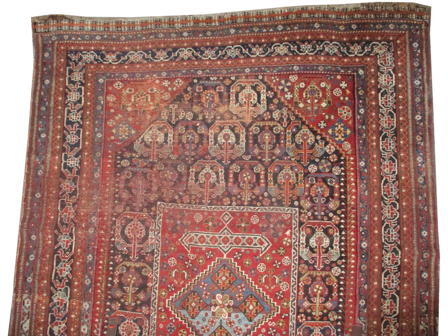 Qashqai Persian - Image 4