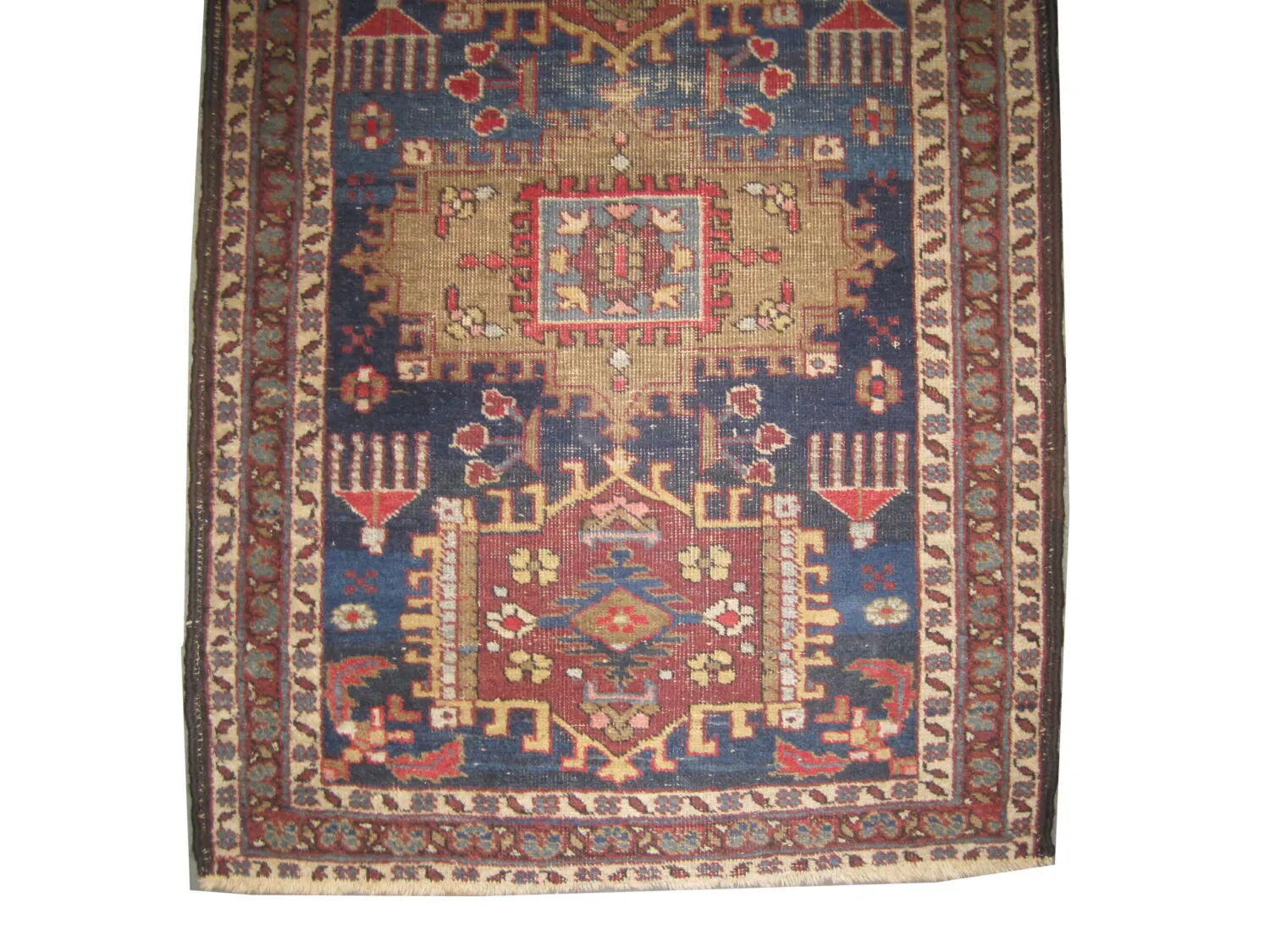 Meshgin Persian - Image 2